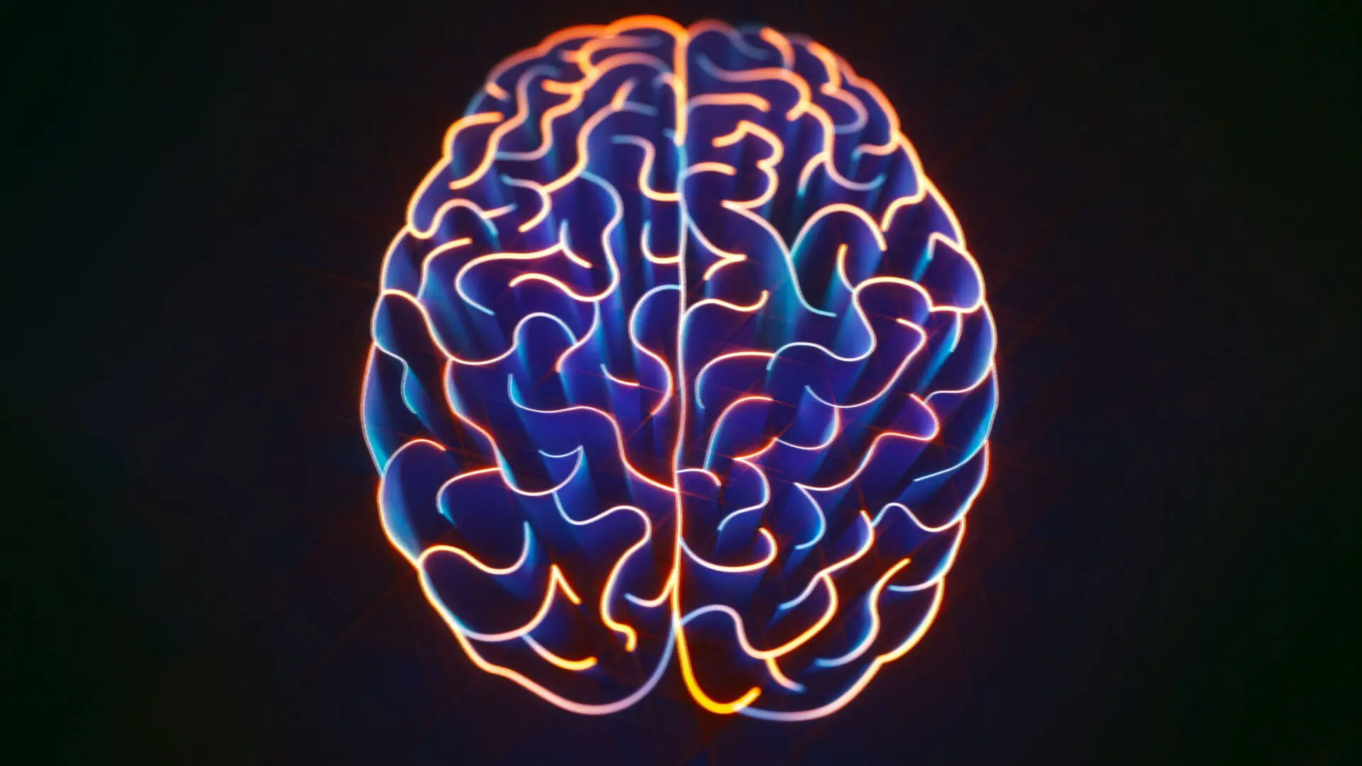 A neon picture of the human brain.