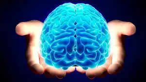 A person holding their hands out with a blue brain in the middle.